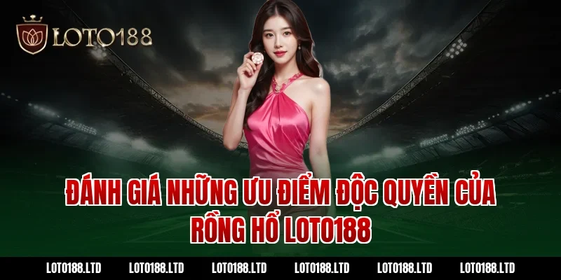 Đánh giá những ưu điểm độc quyền của rồng hổ Loto188