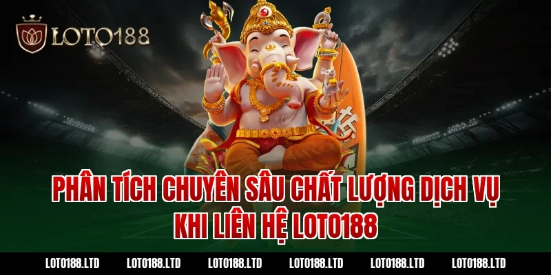 Phân tích chuyên sâu chất lượng dịch vụ khi liên hệ Loto188
