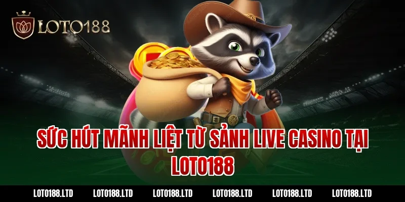 Sức Hút Mãnh Liệt Từ Sảnh Live Casino Tại Loto188